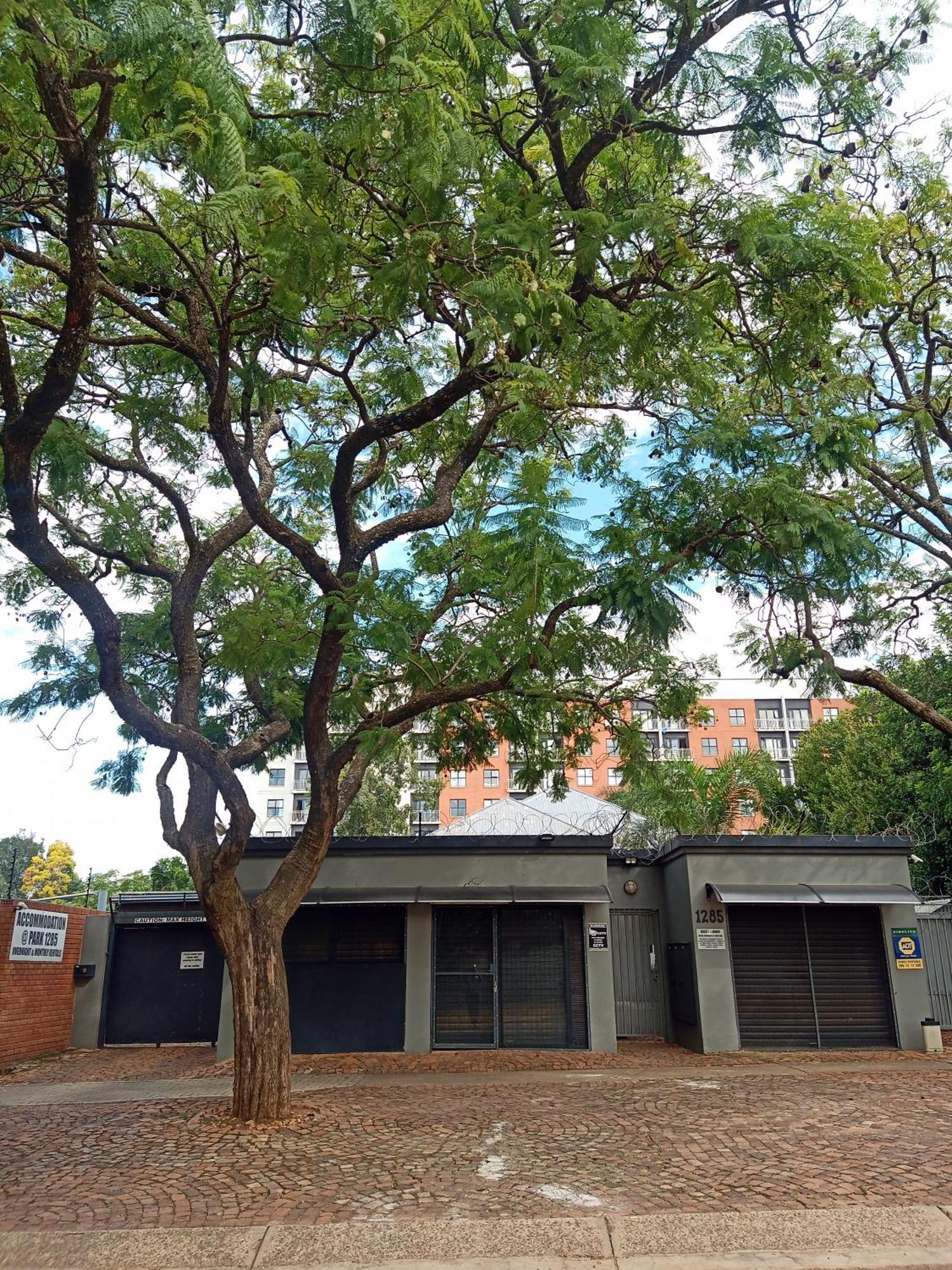 Accommodation@Park1285 Pretoria-Noord 外观 照片