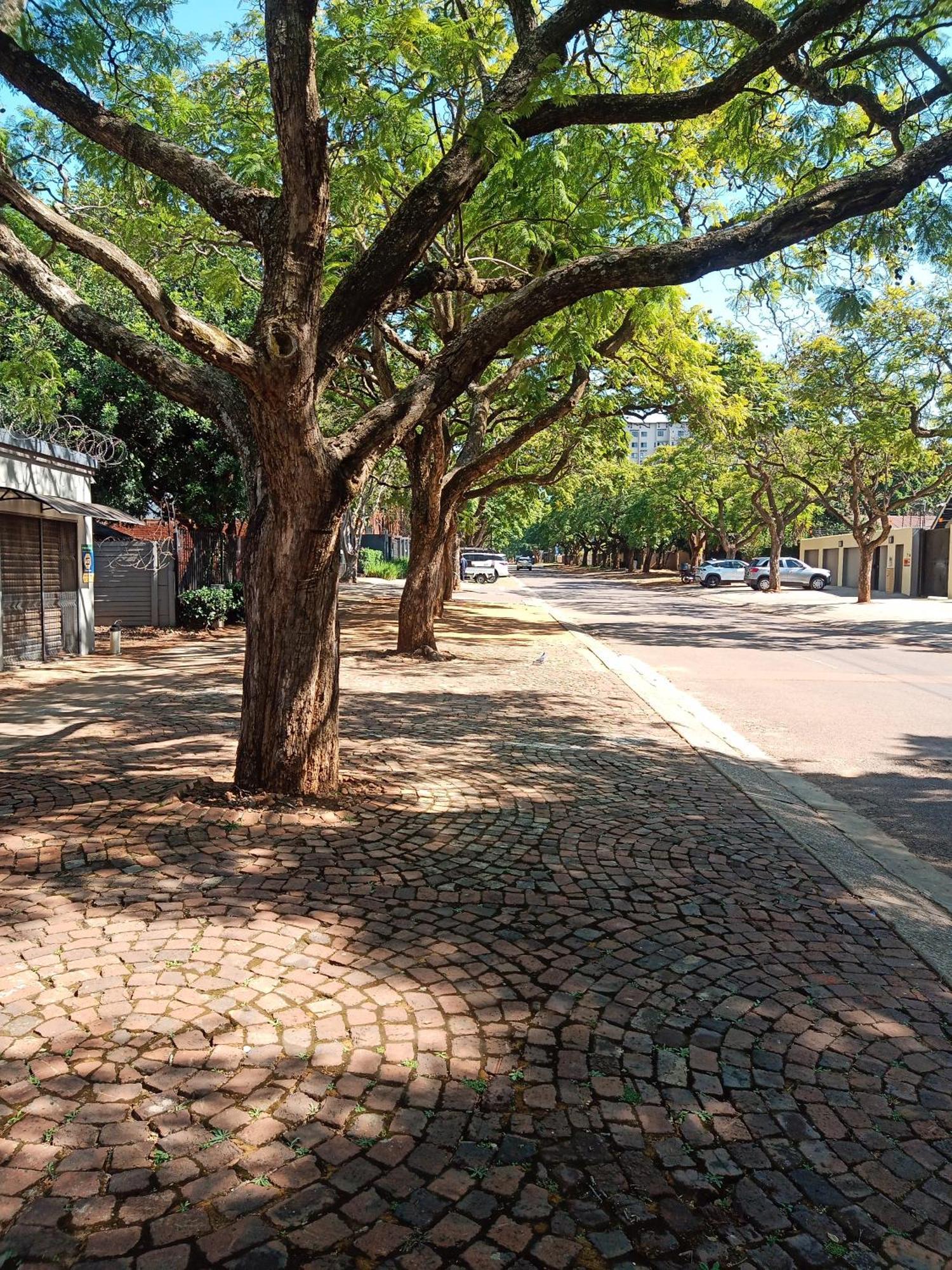 Accommodation@Park1285 Pretoria-Noord 外观 照片